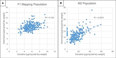 Artemisia annua L. plants lacking Bornyl diPhosphate Synthase reallocate carbon from monoterpenes to sesquiterpenes except artemisinin